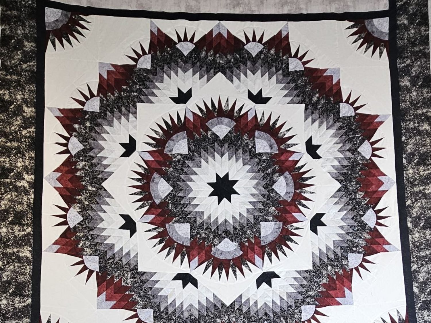 photo_7_2026-02-25_20-29-44